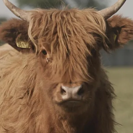 Tatarska Zagroda - Dolina Baryczy - Danielek *